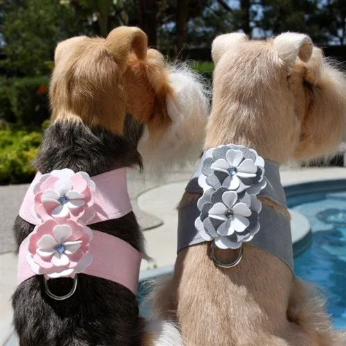 Susan Lanci Special Occasion Tinkie Harness- Puppy Pink - Image 2