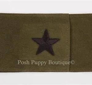 Susan Lanci Star Wizzers Bellyband