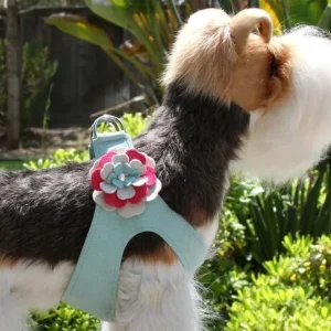 Susan Lanci Step in Harness- Blossom