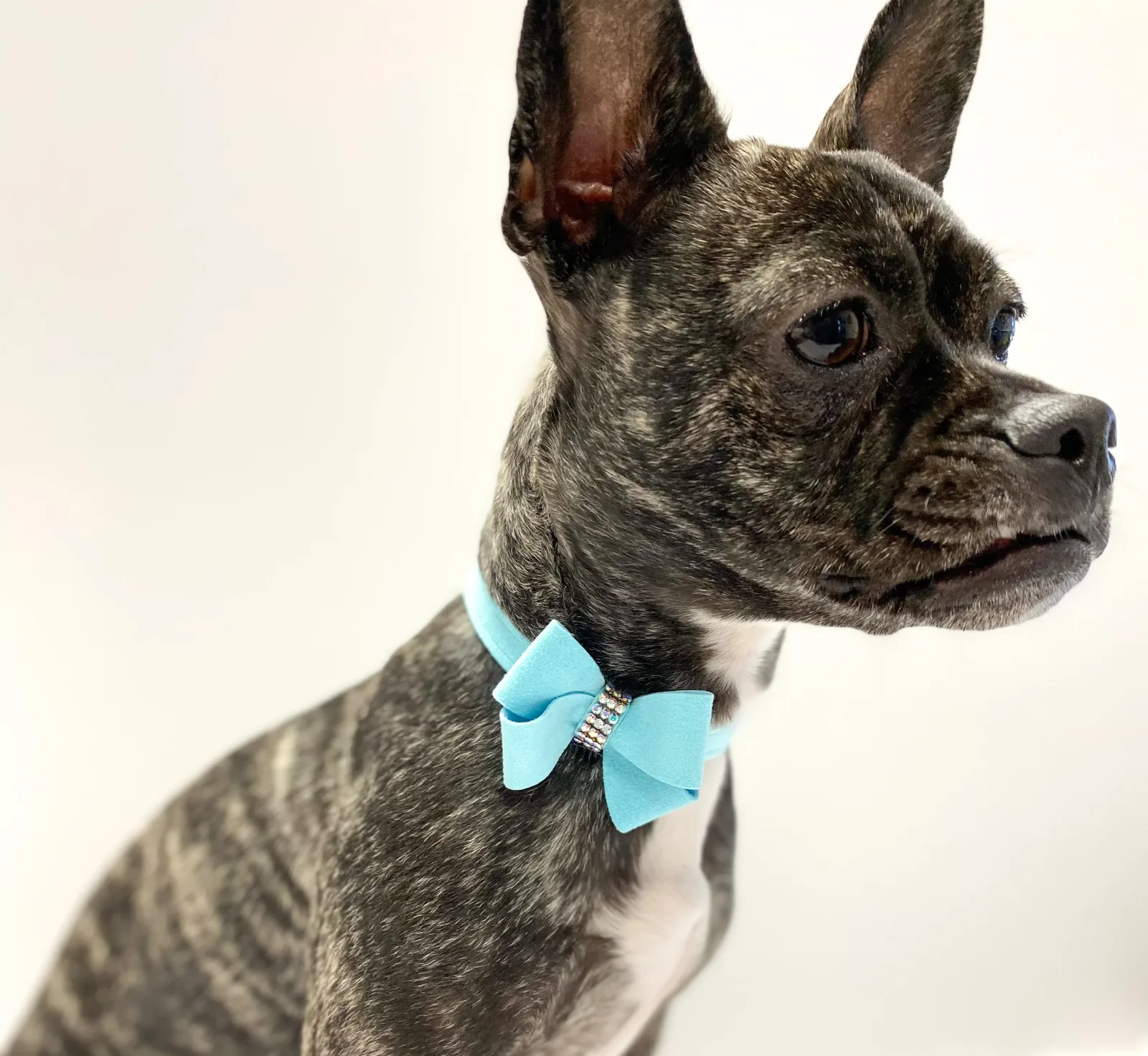 Susan Lanci Tiffi Blue AB Crystal Nouveau Bow Collar - Image 2