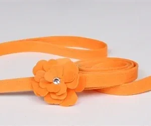 Susan Lanci Tinkie's Garden Flowers Collection Ultrasuede Dog Leashes - Many Colors