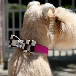 Susan Lanci Windsor Check Big Bow Collar in Many Colors