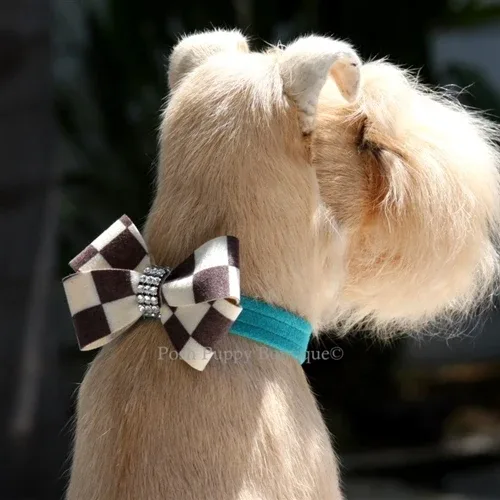 Susan Lanci Windsor Nouveau Bow Collar- in Many Colors