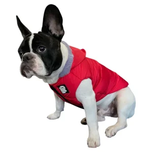 Talking Dog Club Bomber Jacks Hoodies for Dogs (Red)