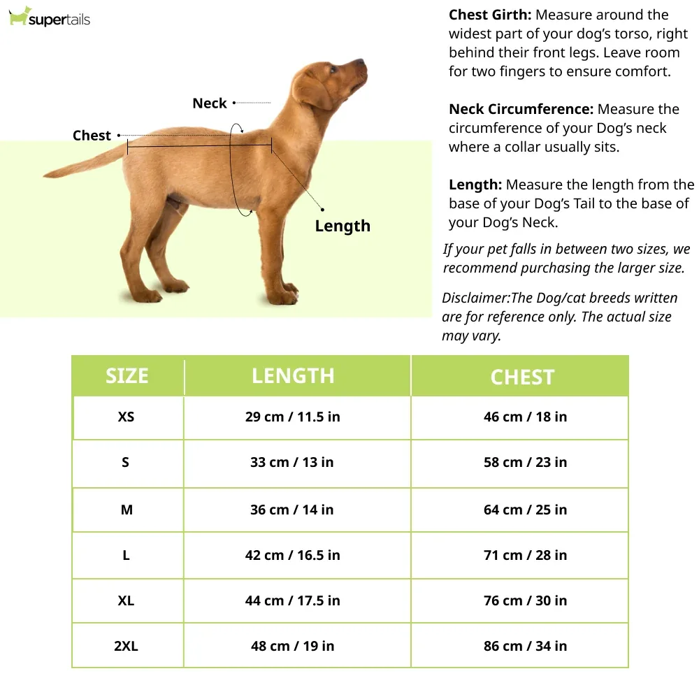 Talking Dog Club Bright Winter High Paw Jumper Sweater for Dogs (Orange) - Image 2