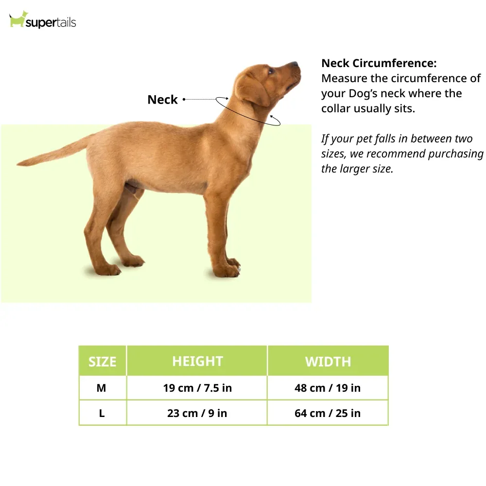 Talking Dog Club Doctor Bandana for Dogs and Cats (Brown) - Image 2