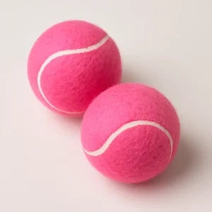 Talking Dog Club Tennis Ball Toy for Dogs (Pink)