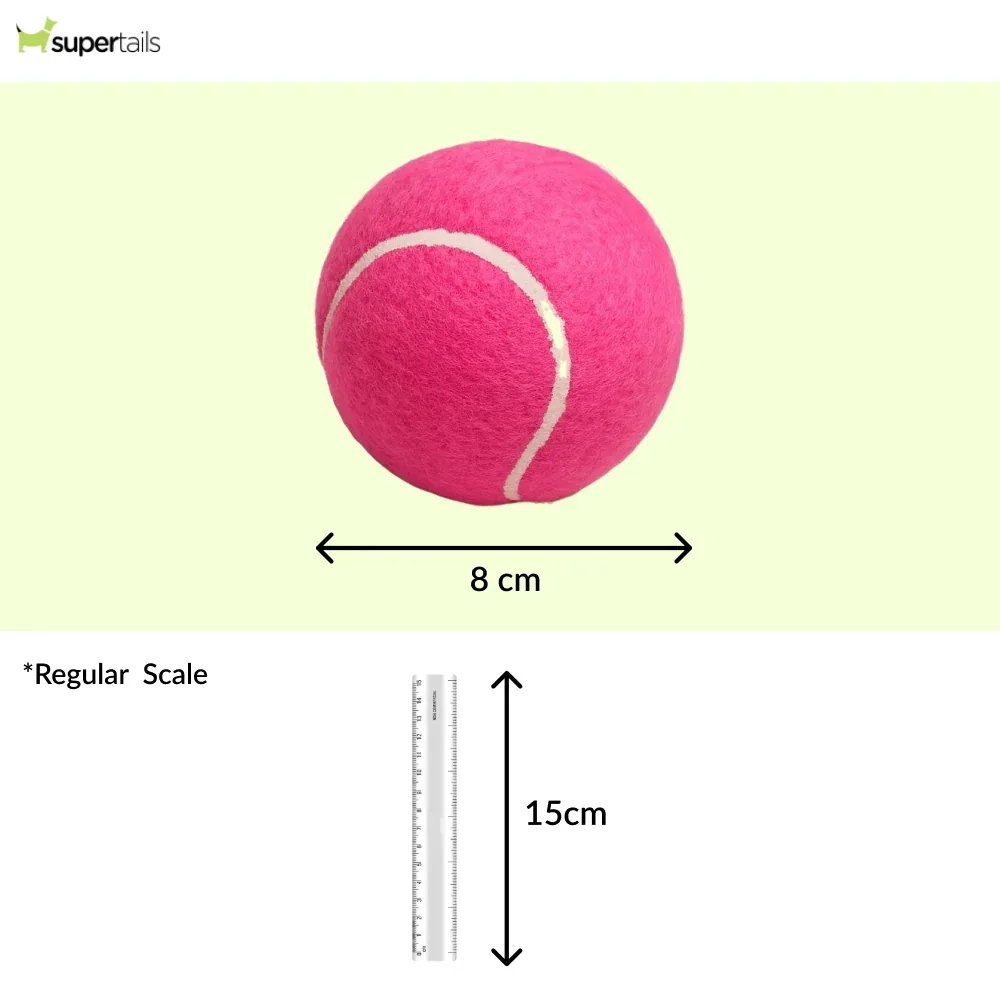 Talking Dog Club Tennis Ball Toy for Dogs (Pink) - Image 2
