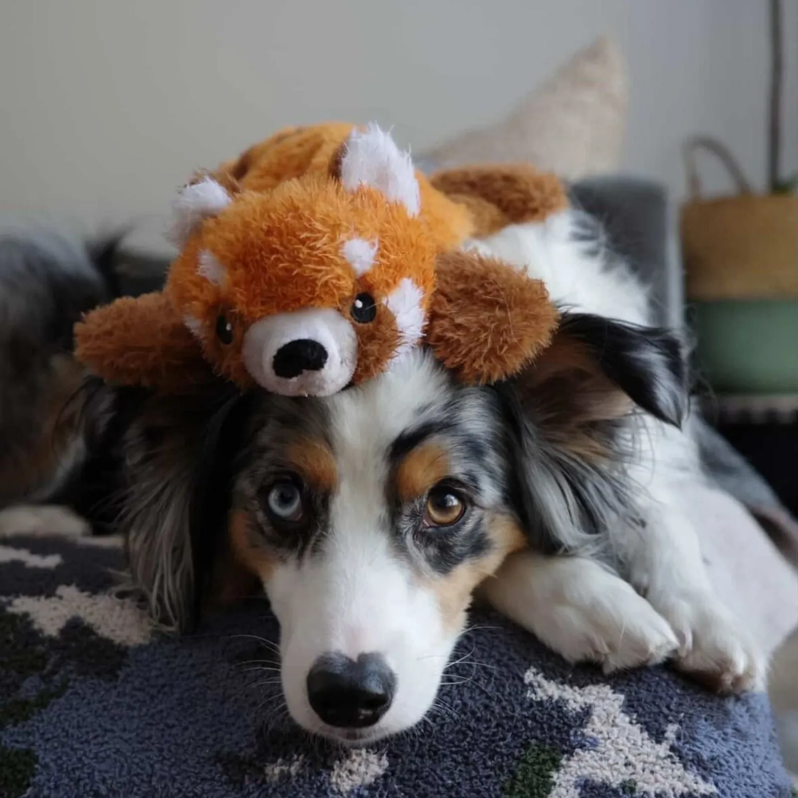 Tall Tails Dog Stuffless Red Panda 16 in - Image 2