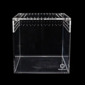 Tarantula Cribs - 6" Tarantula Cube