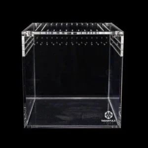 Tarantula Cribs - 8" Tarantula Cube