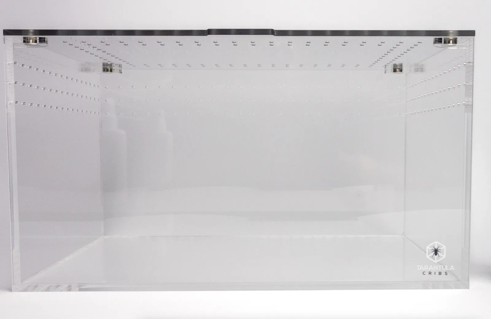 Tarantula Cribs - Large Cuboid 14x10x8