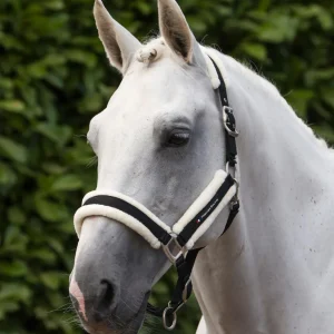 Techno Wool Head Collar with Lead Rope Black