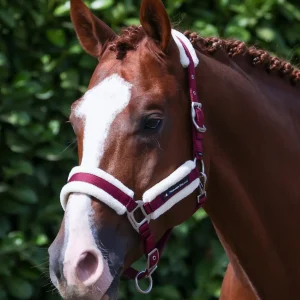 Techno Wool Head Collar with Lead Rope Burgundy