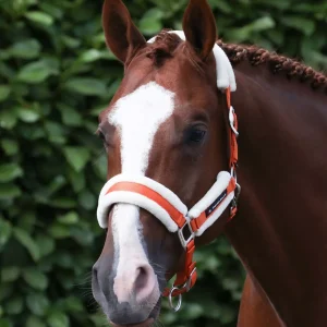 Techno Wool Head Collar with Lead Rope Burnt Orange