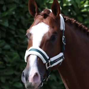 Techno Wool Head Collar with Lead Rope Green