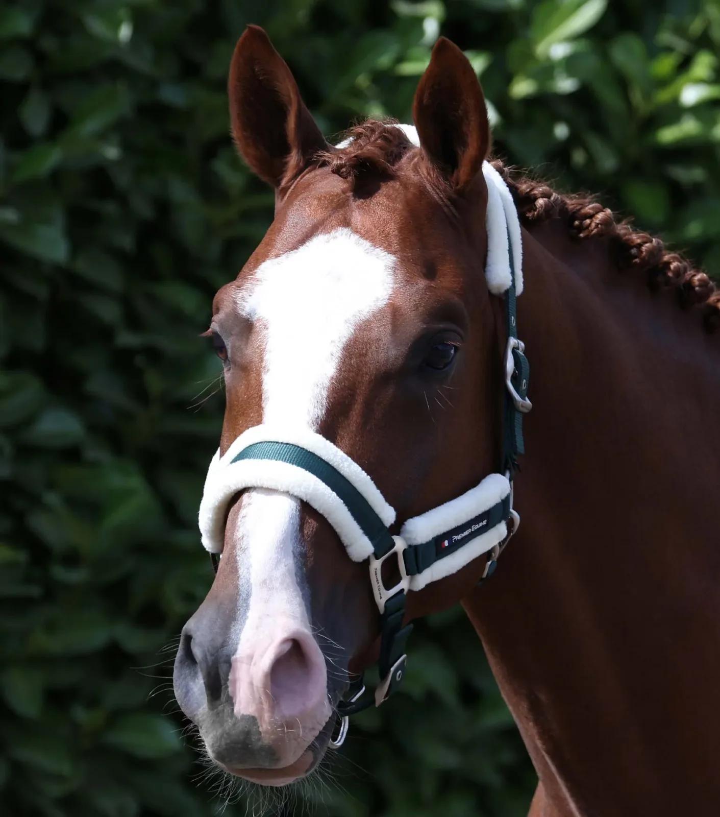 Techno Wool Head Collar with Lead Rope Green