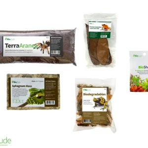 Terra Aranea Bioactive Kit 12" x 12"