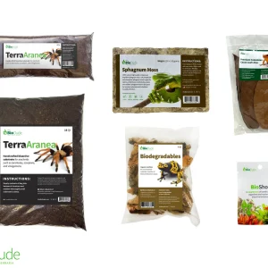 Terra Aranea Bioactive Kit 20 gallon long