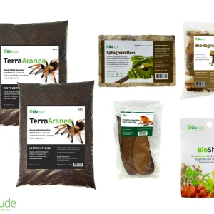 Terra Aranea Bioactive Kit 24" x 18" x 18"/24"/36