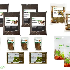 Terra Aranea Bioactive Kit 75 gallon