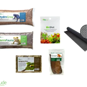 Terra Fauna Bioactive Kit 10 gallon