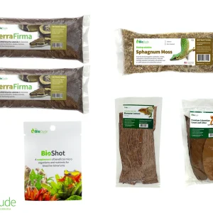 Terra Firma Bioactive Kit 10 gallon