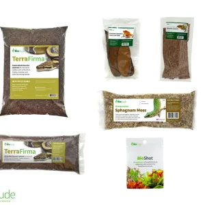 Terra Firma Bioactive Kit 20 gallon long
