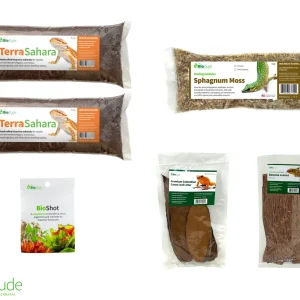 Terra Sahara Bioactive Kit 10 gallon