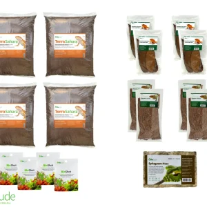 Terra Sahara Bioactive Kit 4' x 2' x 2'