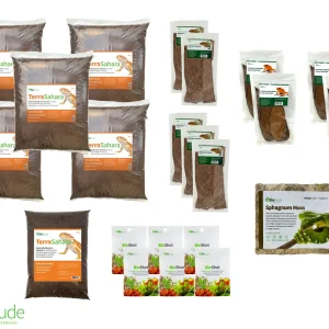 Terra Sahara Bioactive Kit 5' x 2' x 2'