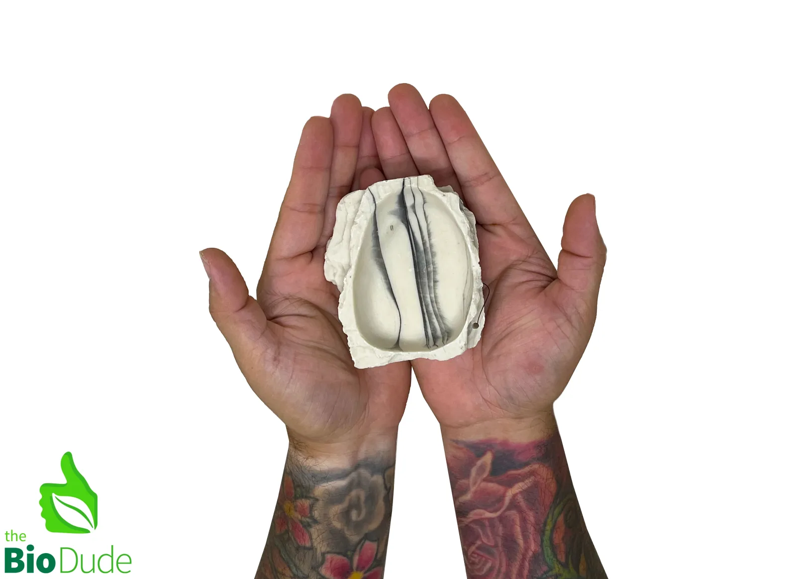 The Bio Dude Rock Water Bowl - Small - Image 2