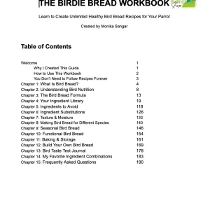 The Birdie Bread Workbook ( Digital PDF)