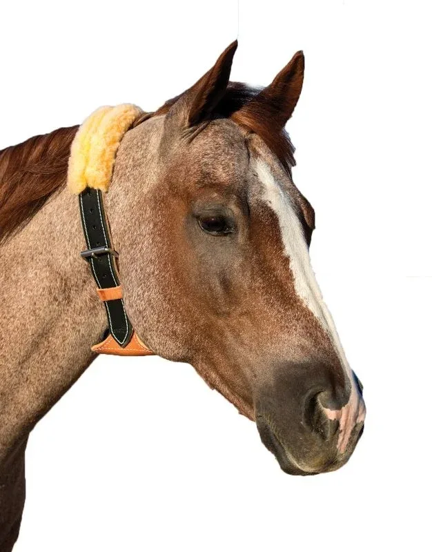 The Dare Cribbing Collar - Image 2