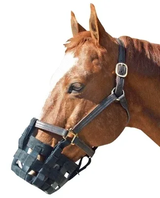 The Grazing Muzzle - Image 2