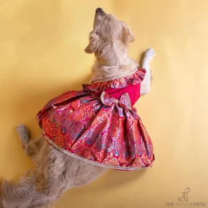 The Papaw Cartel Banarasi Brocade Festive Dress with Bow for Dogs & Cats (Multicolor)