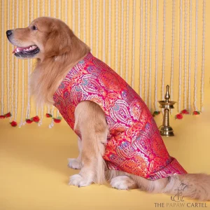 The Papaw Cartel Banarasi Brocade Sleeveless Sherwani with Pocket Square for Dogs & Cats
