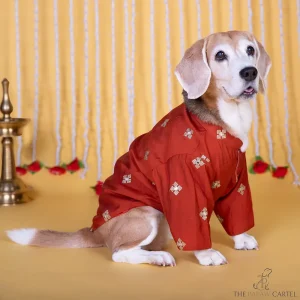 The Papaw Cartel Butta Festive Embroidered Kurta for Dogs & Cats (Orange)