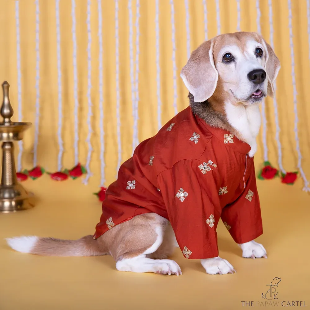 The Papaw Cartel Butta Festive Embroidered Kurta for Dogs & Cats (Orange)