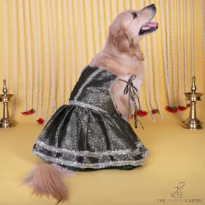 The Papaw Cartel Classic Brocade with Mirror Embellishment Lehenga Choli for Dogs & Cats
