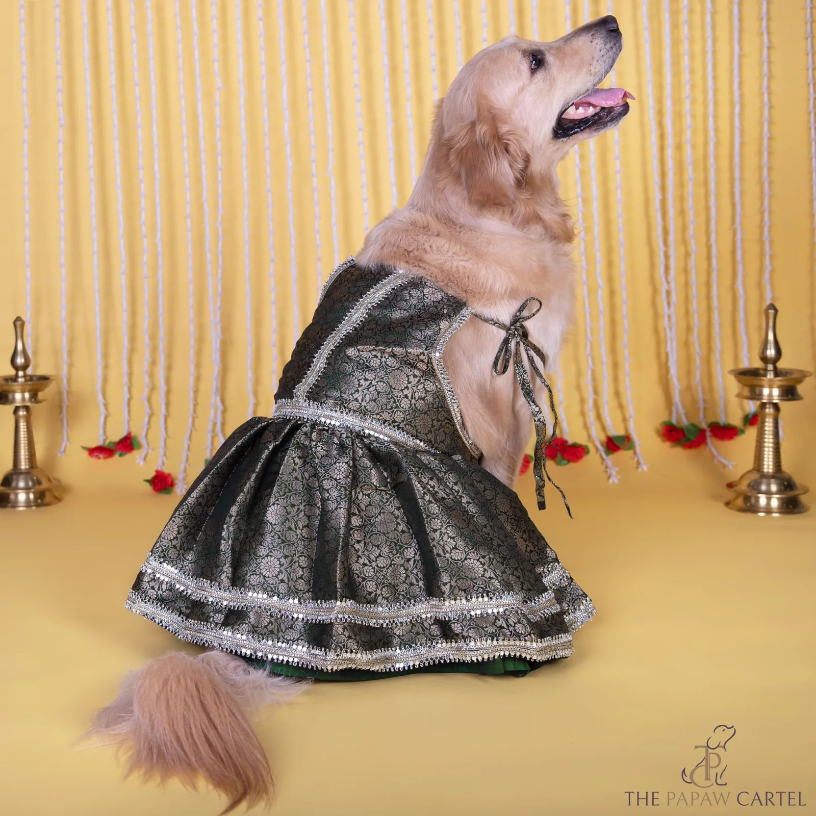 The Papaw Cartel Classic Brocade with Mirror Embellishment Lehenga Choli for Dogs & Cats