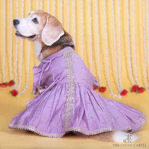 The Papaw Cartel Embroidered Indian Angarkha for Dogs & Cats (Lilac)