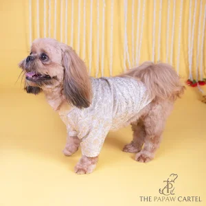 The Papaw Cartel Ivory Banarasi Work Kurta for Dogs & Cats