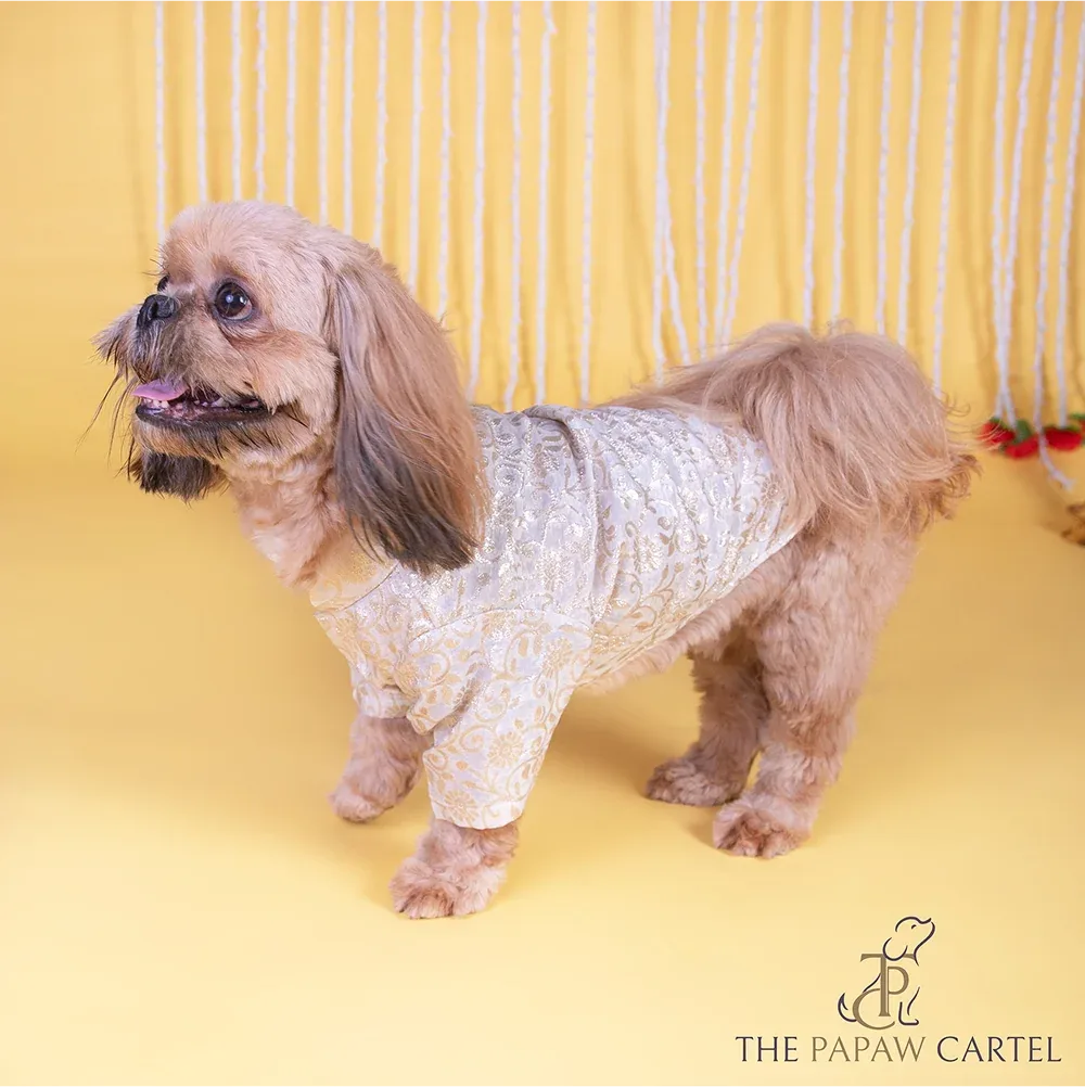 The Papaw Cartel Ivory Banarasi Work Kurta for Dogs & Cats