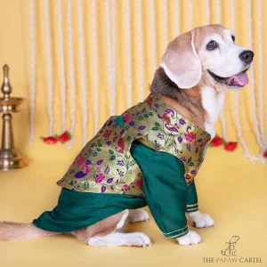 The Papaw Cartel Paithani Koti Kurta for Dogs & Cats (Green)