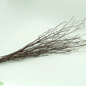 Thin Birch Branches Up to 42" 10 pack