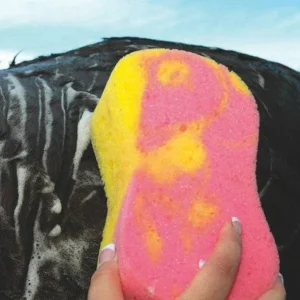 Tie Dye Sponge