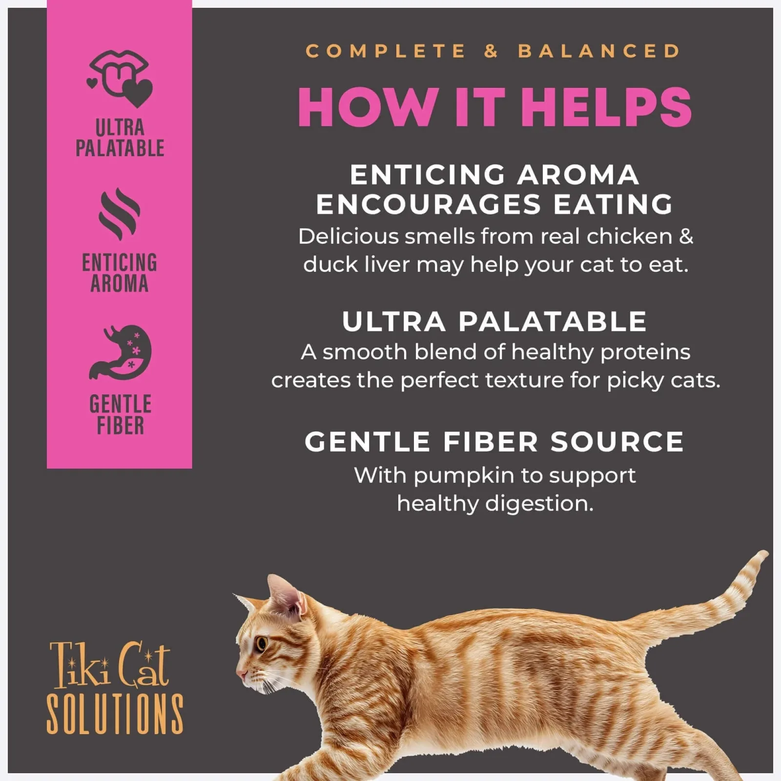 Tiki Pet Cat Solutions Mousse Fussy, 2.4 oz each, Case of 12 - Image 2