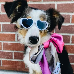 Tiny Dog Heart Sunglasses in White