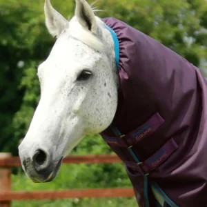 Titan 200g Neck Cover (200g Fill) Purple